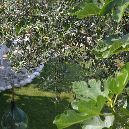 Giardinotto Casa Vacanze Altino  外观 照片
